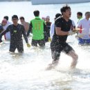 거제도국제펭귄수영축제 이미지