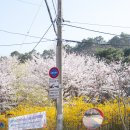 용신중학교 이미지