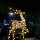 퇴촌 낭만펜션 이미지