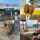 두물머리 | 양평 | 두물머리 필수 코스: 두물머리 연핫도그, 러쉬 두물머리점 방문 후기 🌭🫧