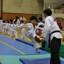 박사태권스쿨체육관 이미지