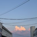 장수산 | [포항] 구룡포시장 김선장수산 홍게·대게 판매장 방문 후기｜포항 여행 필수 코스🦀