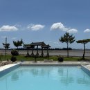 참새골펜션(최광식집)앞 | 무안 수영장 카페 참새골 황토펜션 <앵커카페> 솔직후기