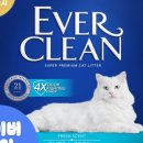 에버크린 이미지