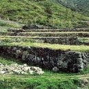 조운농장 이미지