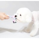 (주)리스펫 이미지