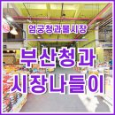 야채청과 | [일상] 엄궁청과물시장 부산청과 다녀온 후기