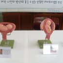 구룡포여자종합고등학교 이미지