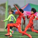 2019초등리그 전북현대 U-12(B) 2 : 0 고창초 이미지