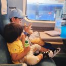 두돌 생활전집 ' 두비의 즐거운 생활 ' 10주 후기