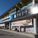 명품장어 이미지