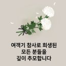 로이스샾 | 올해의 크리스마스 후기 - (ft. 윤하콘서트)
