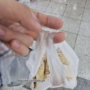 맘스터치배곧한라점