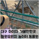 화원유원지 | 대구 화원유원지 놀이터 동물원 솔직후기와 관람 팁