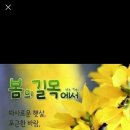 진도ㅡ 뽕 할머니 기원상 ㅡ 신비의 바닷길 ㅡ 진도 쏠비치 리조트ㅡ 신비의 소삼도 ㅡ 바닷길 열리면 산책하기 ㅡ 이미지