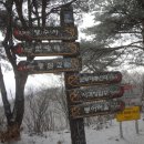 화산주유소 이미지