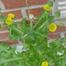 산본고등학교 이미지