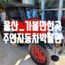 울산_가볼만한 곳 "주연자동차박물관"
