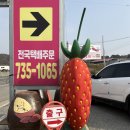 산내 버스터미널 | 딸기모찌 부드러운 찹쌀떡, 논산딸기축제 가신다면 여기도 들러보세요