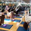 생활요가 이미지