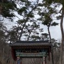 지하철역사 (용문역) | [양평]용문산 관광단지 방문 후기