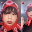 문어의꿈 이미지
