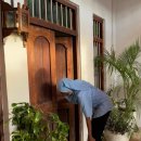 에메랄드팜 이미지