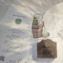 세안마을 | 제로웨이스트 수제 천연비누 추천 슬로비생활가게 햄프씨드 세안비누 솔직후기