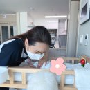 봄소리 김해점 이미지