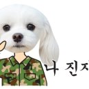 견생템 네이버블로그
