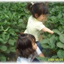 진서농장 이미지