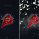 새(화산)2 이미지