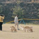 국립공주대학교 산업과학대학원 이미지