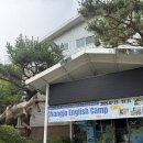 창조자연사박물관 | 시흥 아이랑 갈만한곳 공룡,먹이체험 있는 창조자연사박물관
