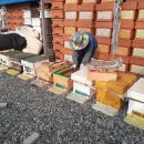 봉이하우스 이미지