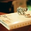 미술치료상담사자격 이미지