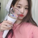팀플 Daum카페