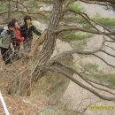 하늘나루 이미지