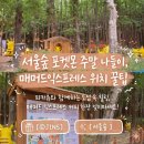 매머드익스프레스서울숲아이코닉점 | 서울숲 포켓몬 주말 나들이 서울형 키즈카페 놀이, 매머드익스프레스 위치 꿀팁