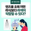 새빛안경콘택트 이미지