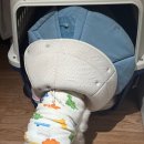 아피아피 apyapy 이미지