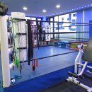 웰리스 복싱클럽 이미지