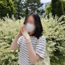 파니샵 이미지