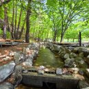 산나들이민박 이미지