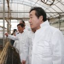 친환경흑염소농장 이미지