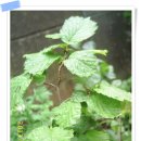 개암농장 이미지