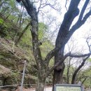 카페아낙466 이미지