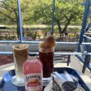 훈트(HUND) 이미지