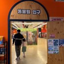 토끼게임장 | 세종실내동물원 쥬라리움 15개월 아기랑 가볼만한곳