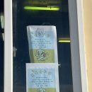 제주애견카페 초록동산 이미지